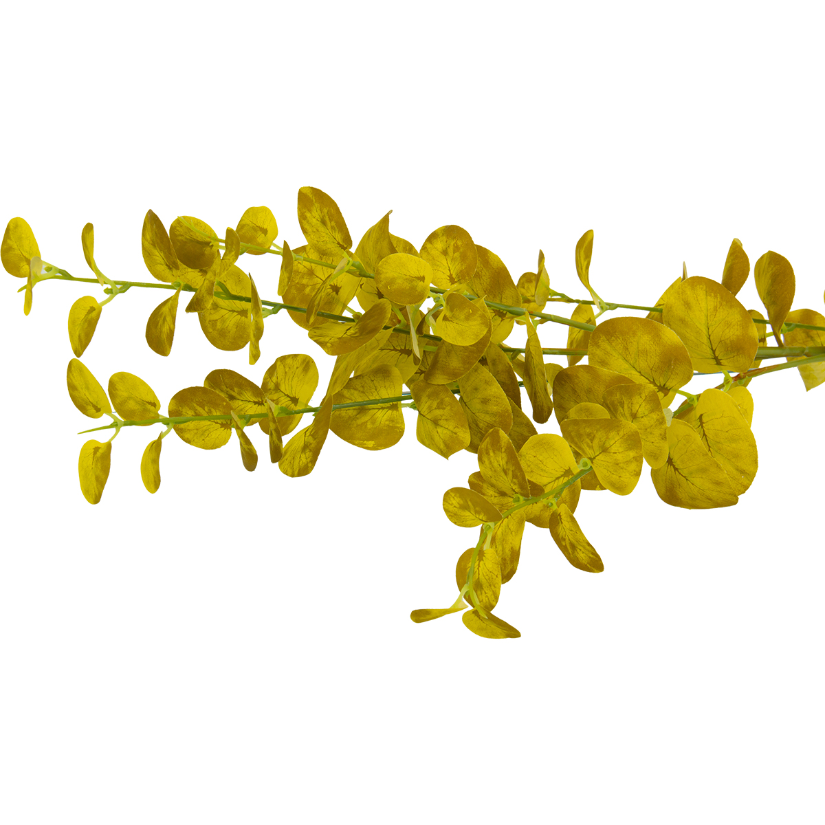 Hojas De Eucalipto Amarillo | Flores | decoracion